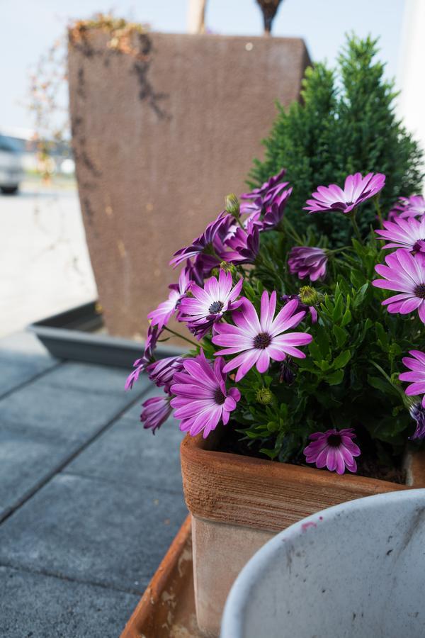 Hotel Traumfabrik Büttelborn エクステリア 写真